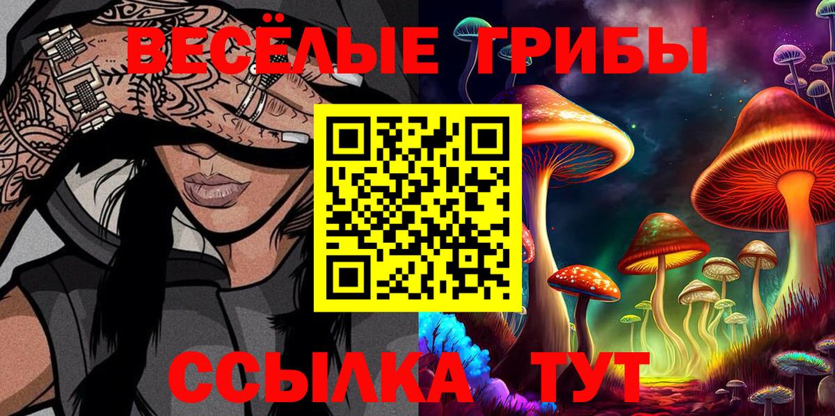 Галлюциногенные грибы прущие грибы Гусиноозёрск