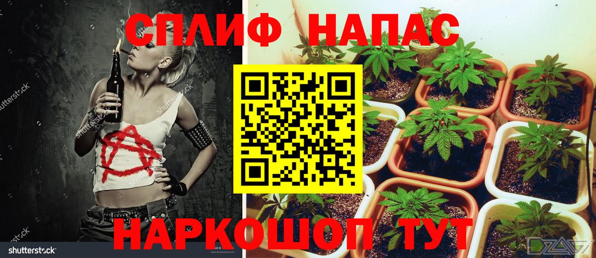 Канабис марихуана Гусиноозёрск